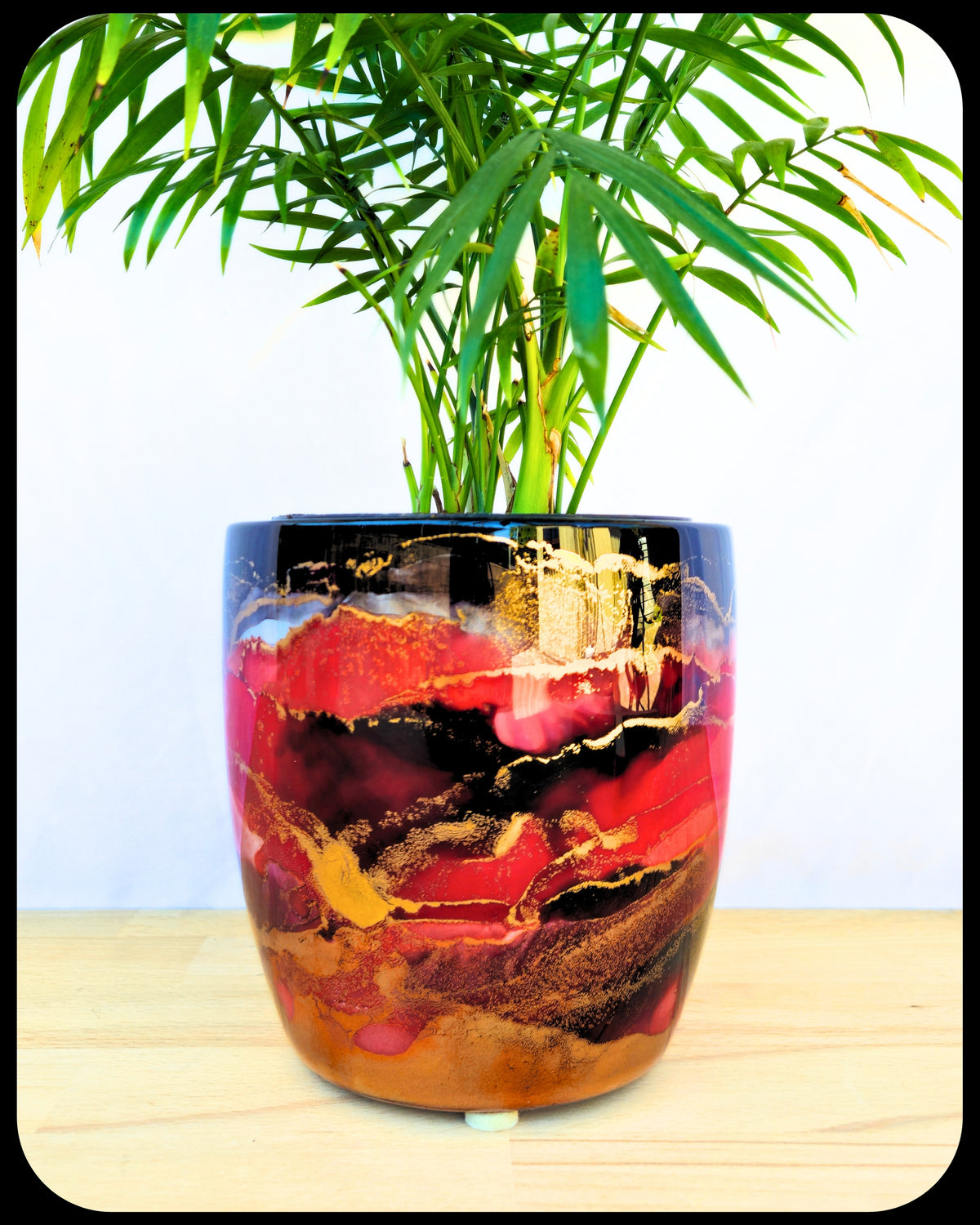 13cm x 14cm Ceramic Medium Orchid Black/Red