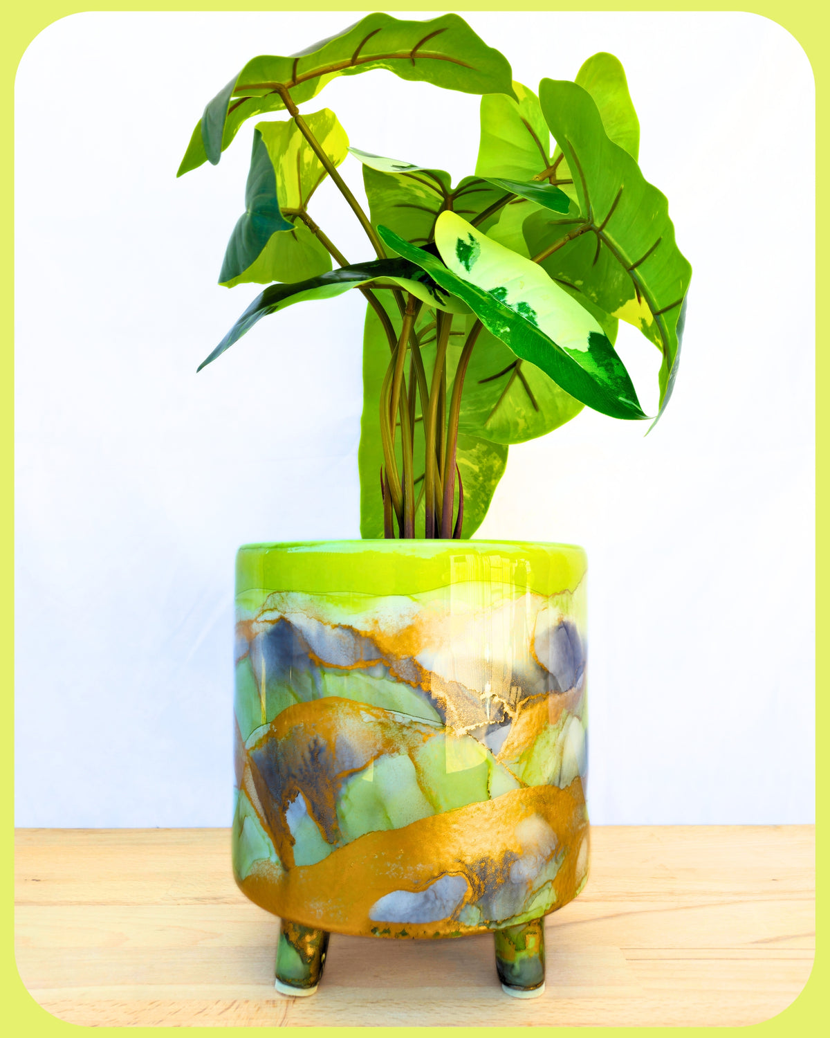 20cm x 20cm Ceramic Large Leggy Lime/Grey